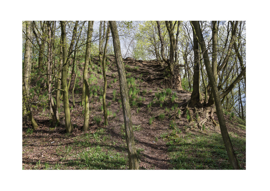 Interstices, Park Cytadela Digital photography, Poznan, April 2016.