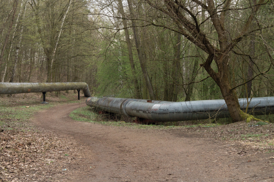 Interstices, Malta's forest Digital photography, Poznan, April 2016.